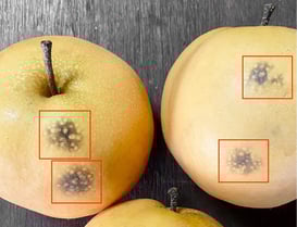 471635877_1125560389578127_8978267464290538078_n